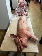 Schweinepreisschießen 2025